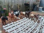 Schleich Paarden en Omheining Set, Ophalen of Verzenden, Gebruikt, Jongen of Meisje