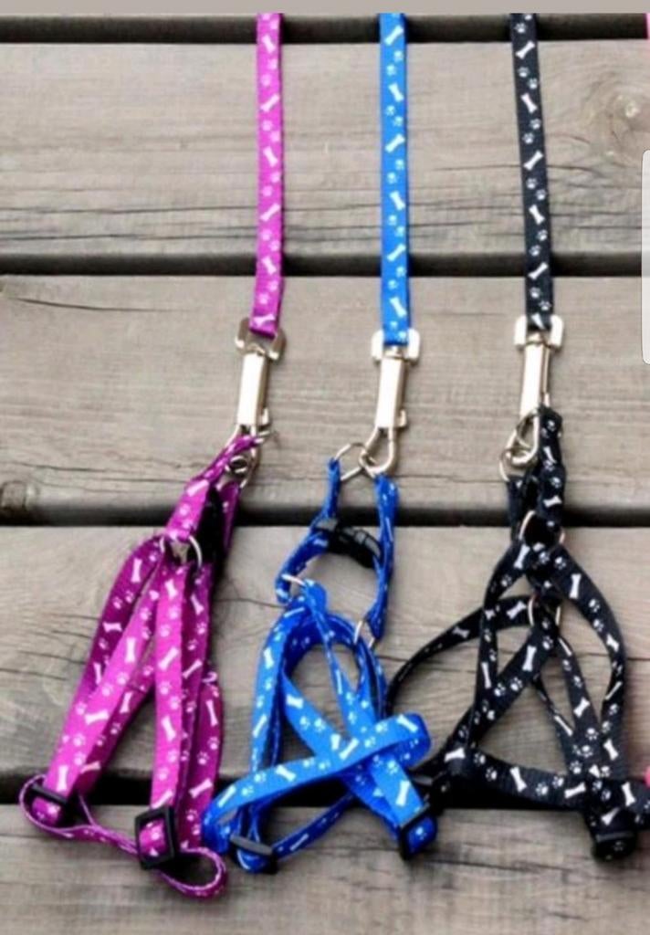 Riem+tuigje voor zowel kat als kitten. Nieuw!, Dieren en Toebehoren, Verzenden, Nieuw