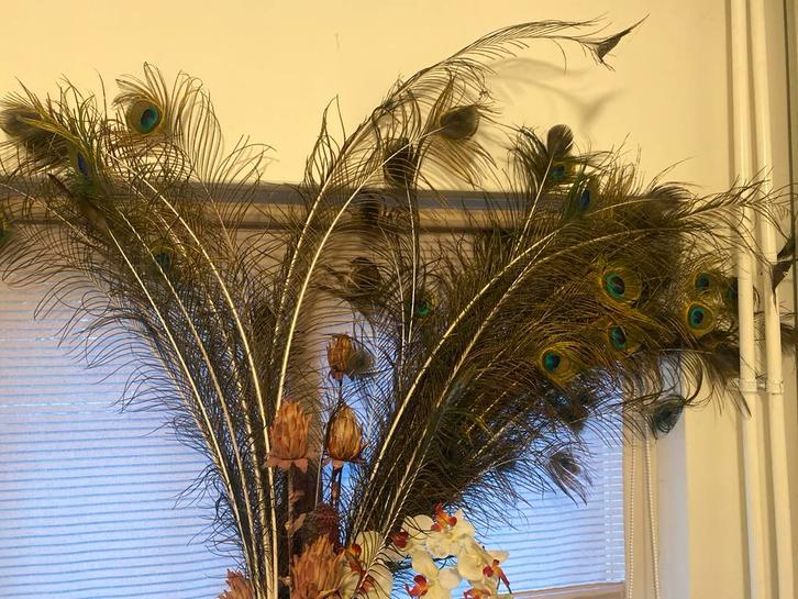 Decoratieve Pauwenveren Boeket, Huis en Inrichting, Woonaccessoires | Overige, Zo goed als nieuw, Ophalen