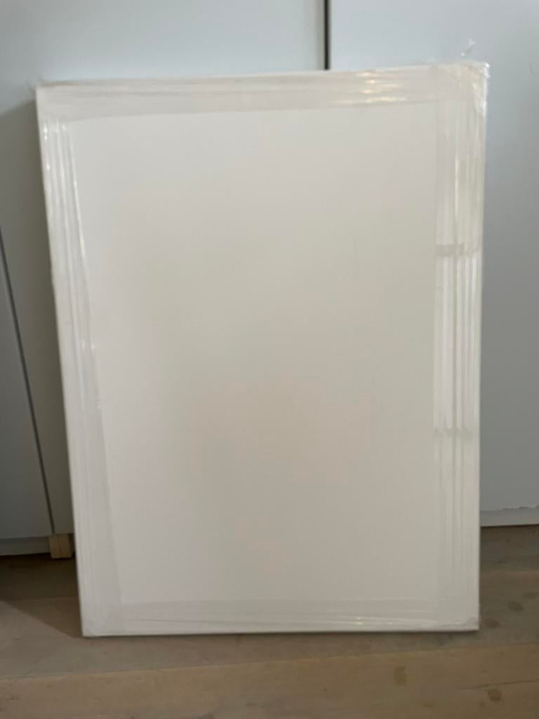 Schildersdoek linnen aluminium frame TOP, Ophalen, Zo goed als nieuw, Doek