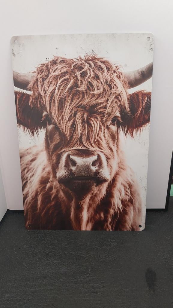 Metalen wanddecoratie Schotse Hooglander - 20x30cm, Minder dan 50 cm, Overige typen, Nieuw, Ophalen of Verzenden