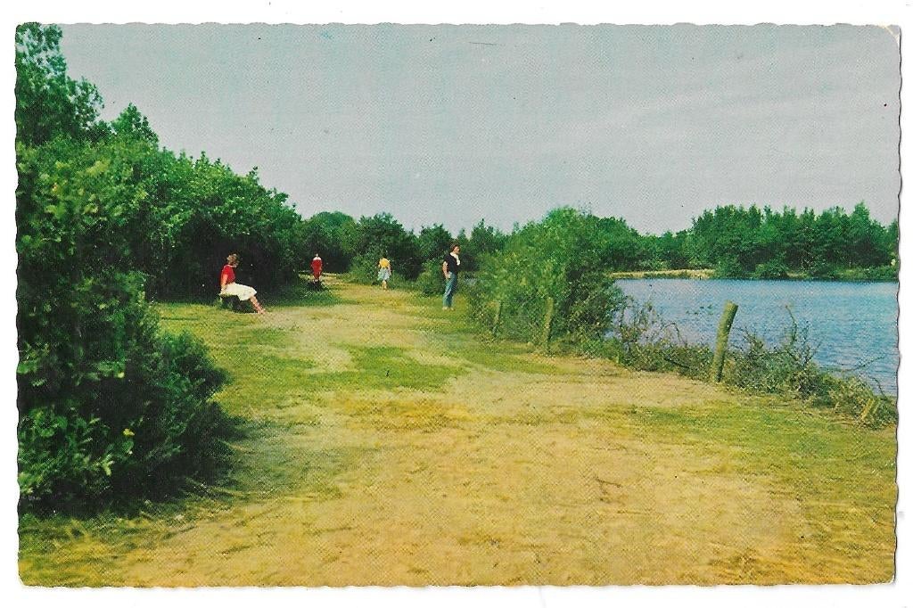 AK Rockanje - Tenella Plas, Verzenden, 1960 tot 1980, Ongelopen, Zuid-Holland