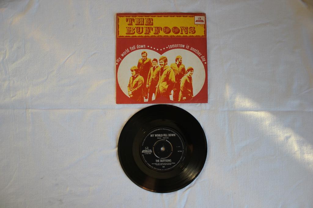 the buffoons - my world fell down, Cd's en Dvd's, Gebruikt, Maxi-single, Ophalen of Verzenden, Pop