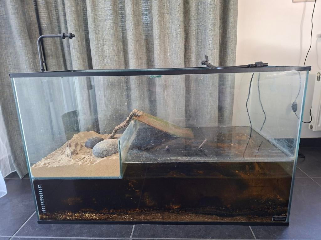 Schildpaddenbak ophalen in Lommel, Ophalen, Kooi, Minder dan 60 cm