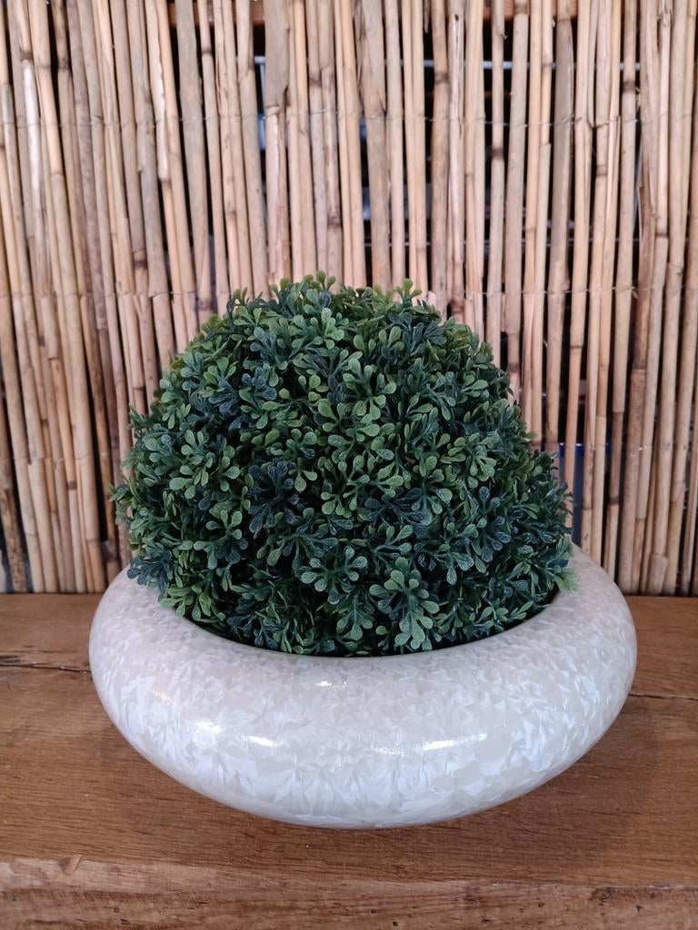 Parelmoer schaal, Ophalen of Verzenden