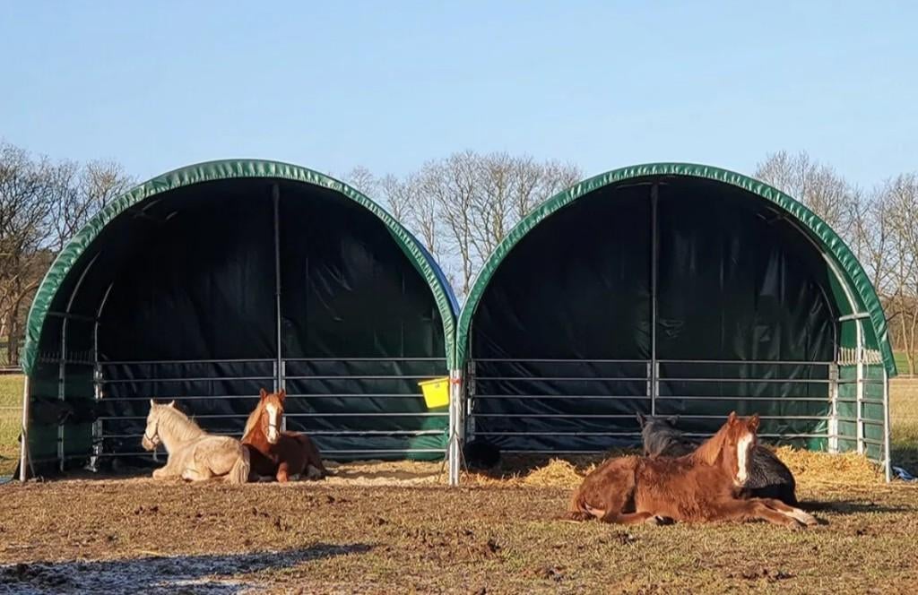 Weidetent, schuilstal voor paarden, alpaca, koe 4x4m NIEUW, Stalling, 4 paarden of pony's of meer