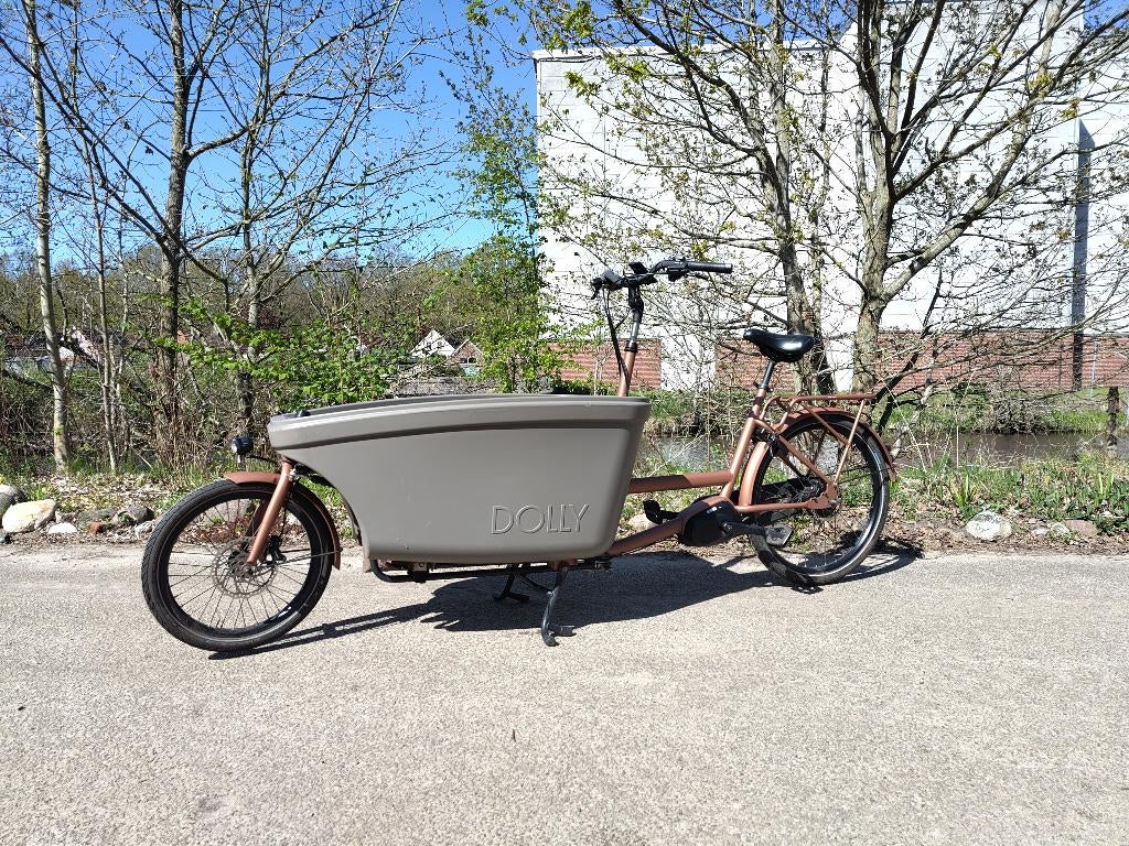 Dolly Elektrische Bakfiets, Gebruikt, Huif, 2 kinderen, Schijfrem