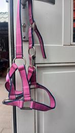 Shetlander halster, Ophalen of Verzenden, Overige soorten