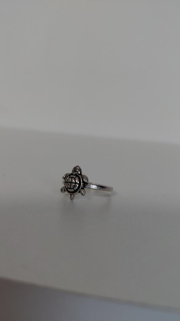 Ring schildpad, Sieraden, Tassen en Uiterlijk, Ringen, Ophalen of Verzenden, Zilver, Dame