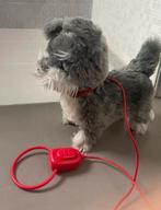 Hond speelgoed, Dieren en Toebehoren, Ophalen of Verzenden, Gebruikt