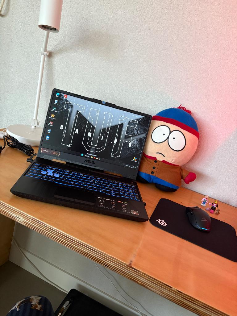 Asus gaming laptop tuf a15 FA506N & muis, Computers en Software, Windows Laptops, Met videokaart, Asus, Zo goed als nieuw, Gaming