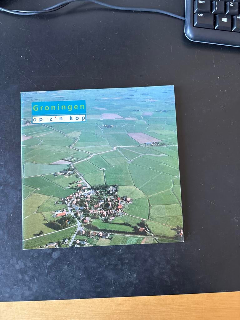 Groningen op z'n kop - Boek over Groningen, Boeken, Ophalen of Verzenden, 20e eeuw of later, Gelezen