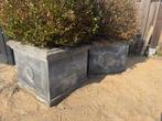 Betonnen Tuinpotten 2 stuks, Ophalen, Gebruikt, 40 cm of meer, Vierkant