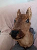 Opgezet hert op houten wandbord/Taxidermy/Taxidermie, Ophalen of Verzenden