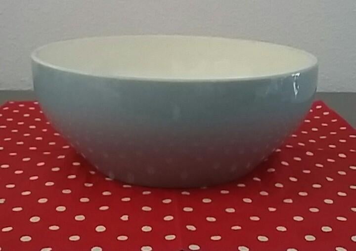 PETRUS REGOUT pastel grijsblauwe kom, Gebruikt, Ophalen of Verzenden, Schaal of Schalen, Effen