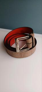 Nieuwe Pepe Milan riem maat 115, Kleding | Dames, Riemen en Ceinturen, Overige kleuren, 100 cm of meer, Echt leder, Nieuw