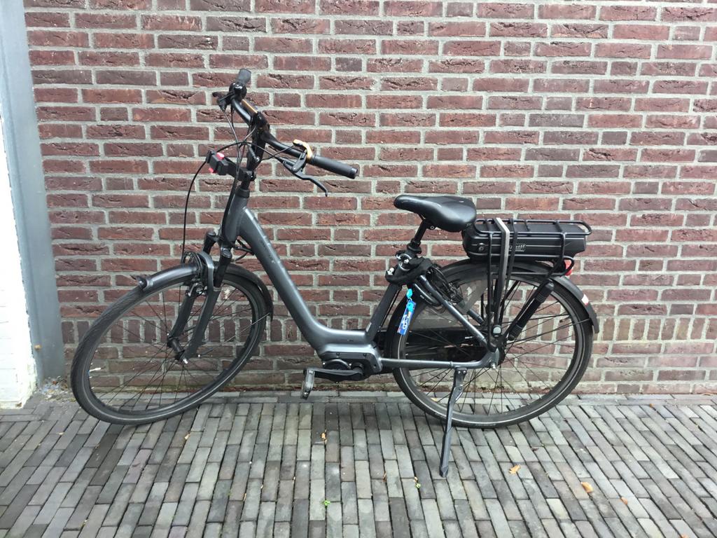 Giant Grand Tour E-Bike 2019 Graphite, Ophalen, Gebruikt, Giant