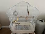 Mooie kanarie man met kooi, Ophalen, Zo goed als nieuw, Metaal, Vogelkooi