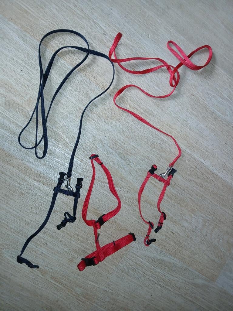 Ratten tuigjes, Ophalen of Verzenden