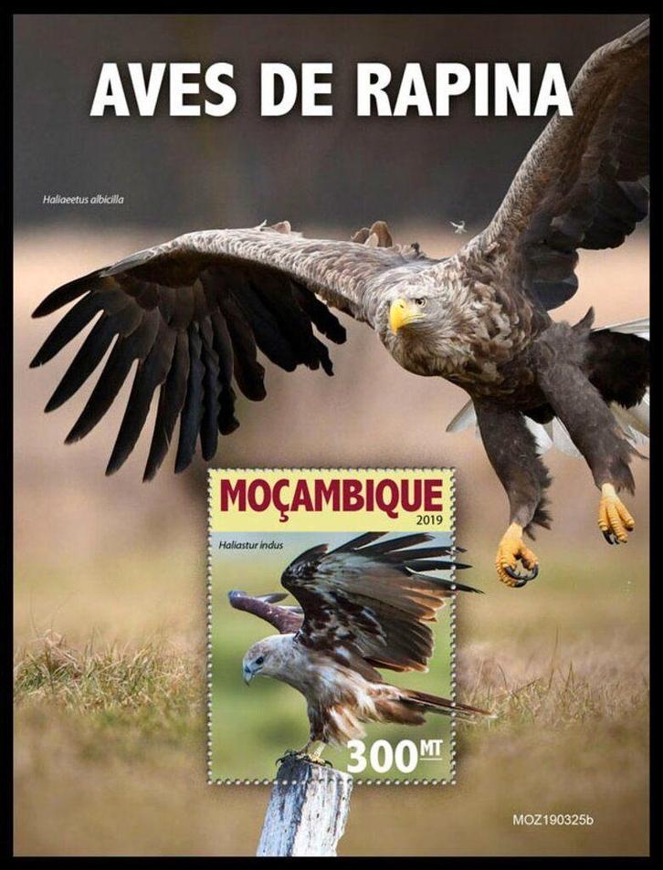 52 veiling van 27-28 en 01 mrt Mozambique, Postzegels en Munten, Postzegels | Thematische zegels, Postfris, Dier of Natuur, Ophalen of Verzenden