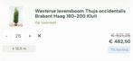 25 coniferen 180-200, Tuin en Terras, Planten | Struiken en Hagen, Ophalen of Verzenden, Conifeer, 100 tot 250 cm