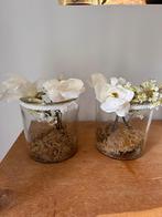 2x grote, transparant glazen windlichten, Overige materialen, Overige kleuren, Nieuw, Ophalen of Verzenden