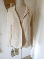 NIEUW vest van PETER HAHN, Ophalen of Verzenden, Nieuw, Maat 38/40 (M), Overige kleuren