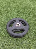 2 Domyos halterschijven 5kg, Ophalen