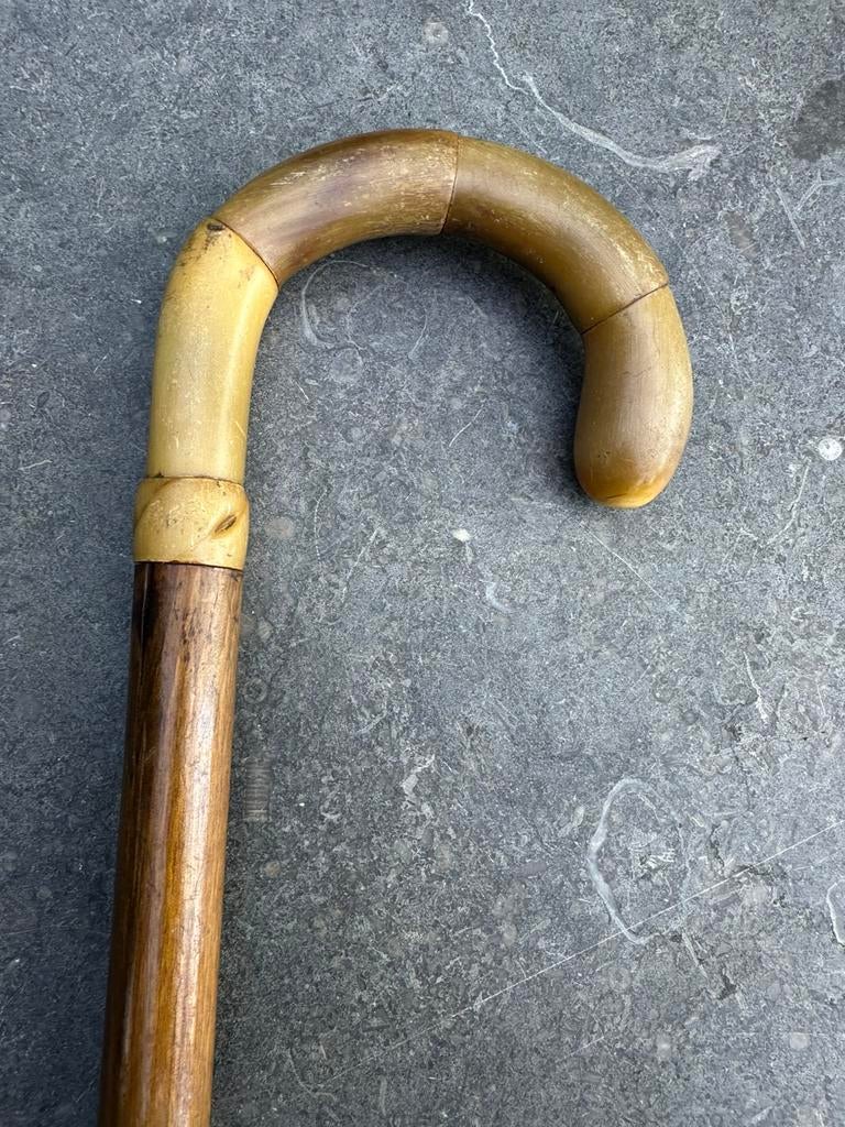 Antieke wandelstok met hoornen handvat, Ophalen of Verzenden