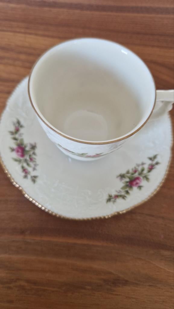 Rosenthal Classic Rose Collection Kop en Schotel, Ophalen