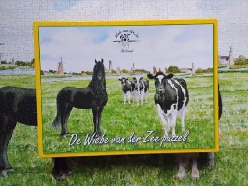 Puzzel Wiebe van der zee 'Friesland', Ophalen, 500 t/m 1500 stukjes, Zo goed als nieuw, Legpuzzel