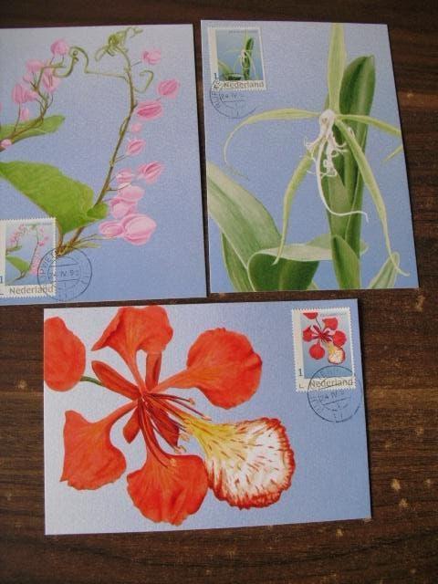 Maximumkaarten Flora Sint Eustatius (3519), Postzegels en Munten, Postzegels | Nederland, Verzenden