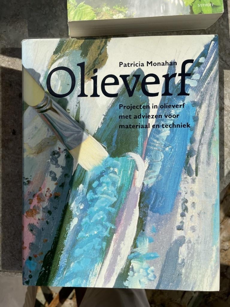 Olieverf /projecten in olieverf met adviezen voor materiaal, Ophalen of Verzenden, Nieuw
