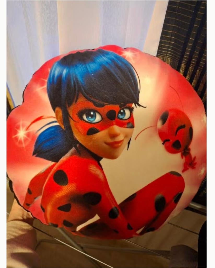 Ladybug Miraculous kussen 45x45, Ophalen of Verzenden, Zo goed als nieuw