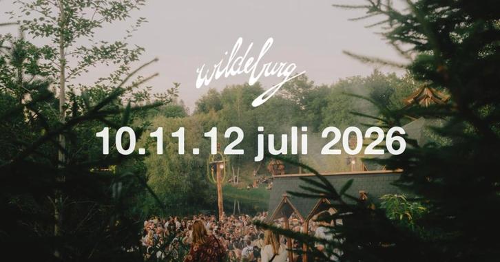 4 Wildeburg kaarten voor €1100 euro (€230 korting), Tickets en Kaartjes, Evenementen en Festivals, Drie personen of meer