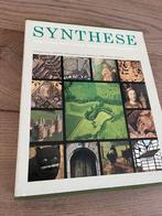 Synthese Zuid-Limburg: Geschiedenis en Cultuur, Ophalen of Verzenden, 20e eeuw of later, Zo goed als nieuw