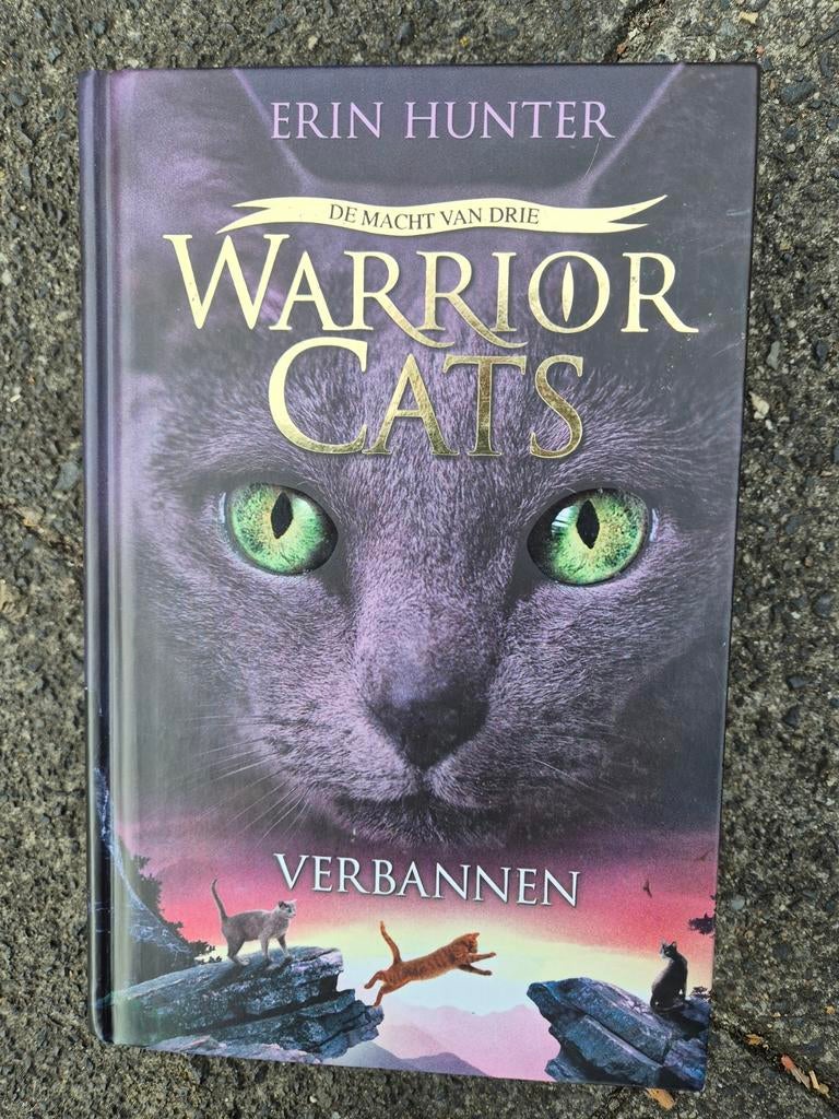 Warrior Cats: De Macht van Drie - Verbannen (Erin Hunter), Boeken, Ophalen of Verzenden