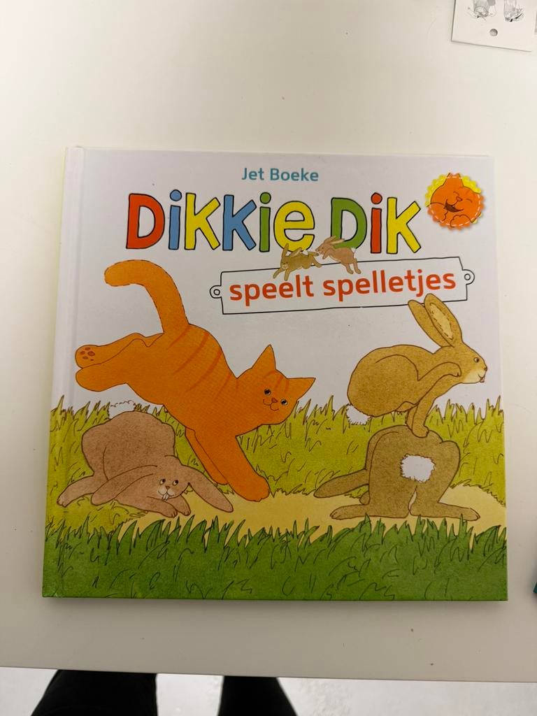 Kinderboek dikkie dik, Ophalen of Verzenden, Zo goed als nieuw, 3 tot 4 jaar