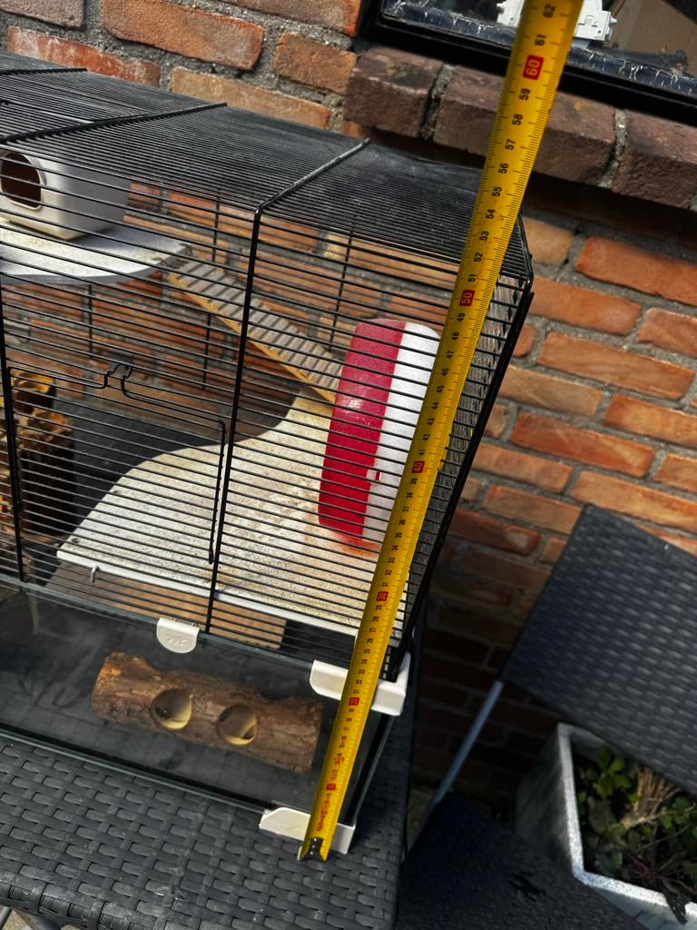 Kleine kooi!, Kooi, Gebruikt, Minder dan 75 cm, Hamster