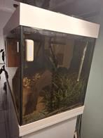 Aquarium juwel 350 met onderkast, Dieren en Toebehoren, Vissen | Aquaria en Toebehoren, Ophalen