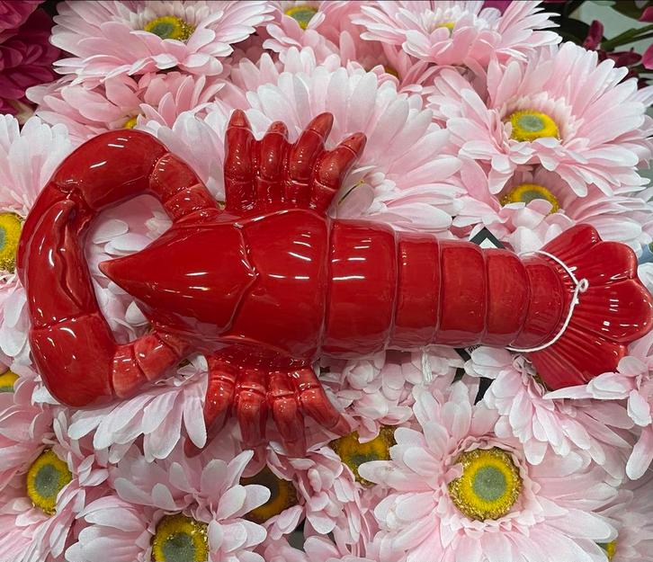 Rode Krab 24 cm lang, Huis en Inrichting, Woonaccessoires | Overige, Nieuw, Ophalen of Verzenden