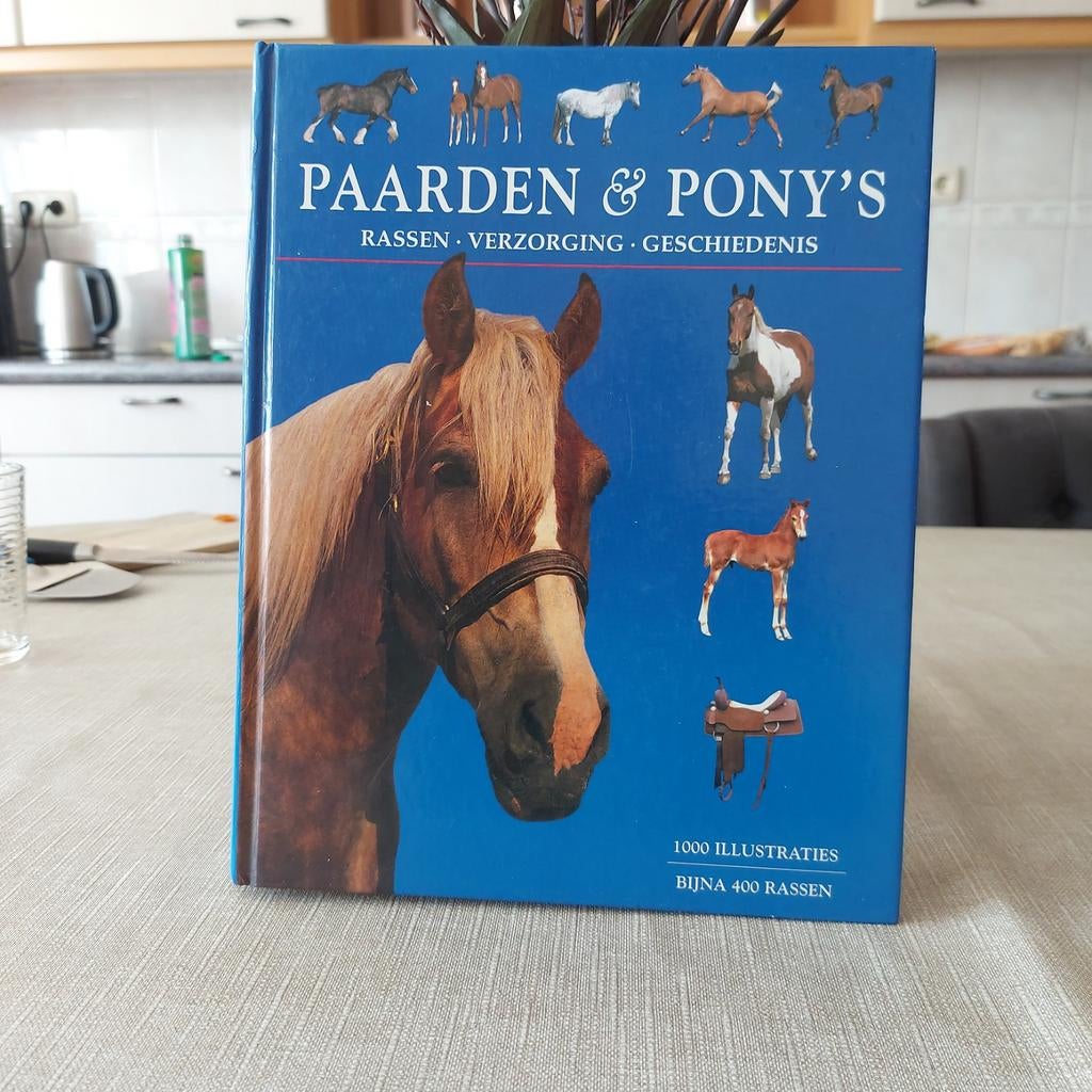 Paarden & Pony's: Rassen, Verzorging, Geschiedenis Boek, Ophalen of Verzenden, Gelezen, Paarden of Pony's, Onbekend