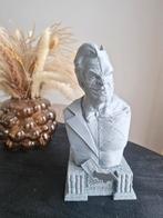 Batman / Joker bust, Verzamelen, Beelden en Beeldjes, Ophalen of Verzenden, Nieuw, Fantasy