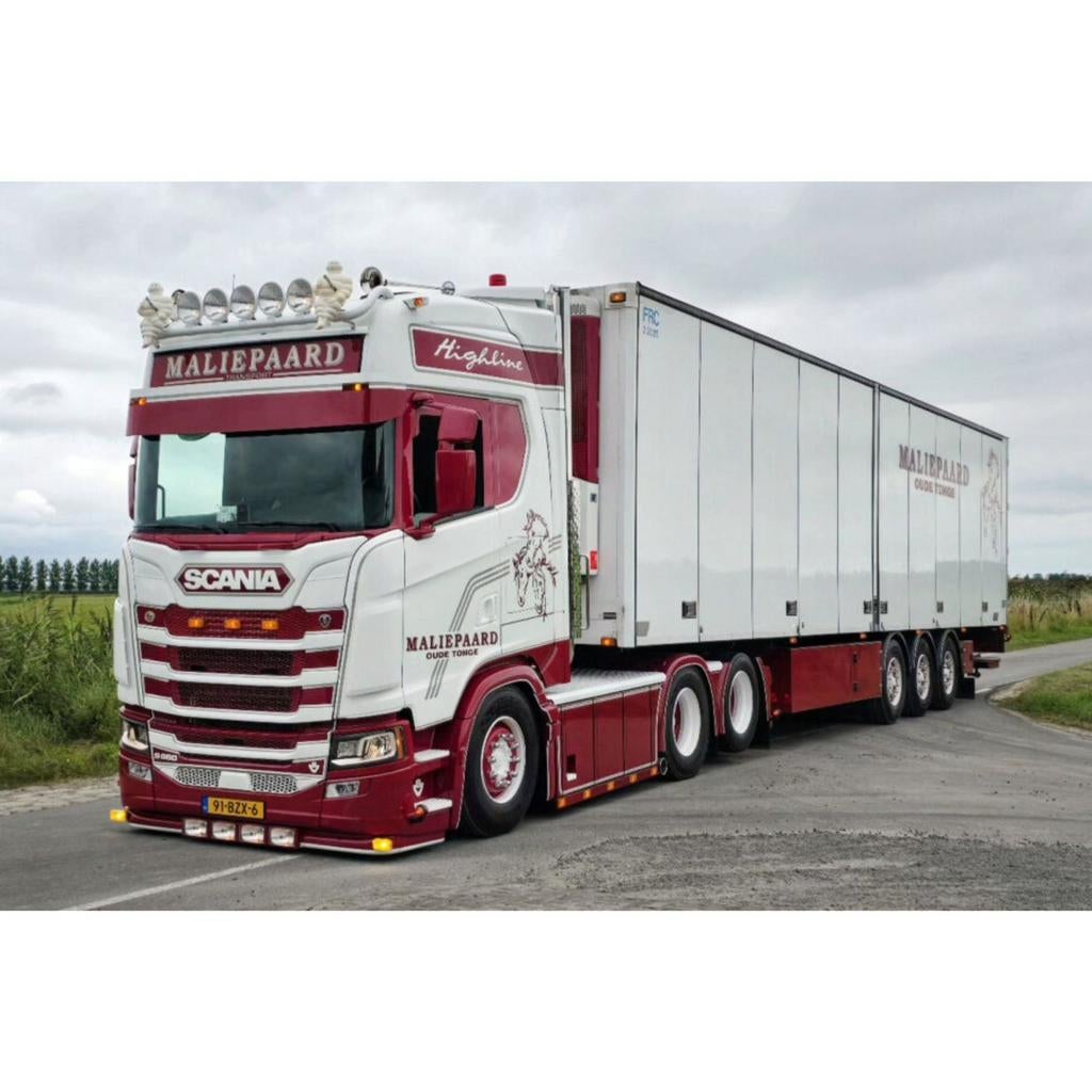 [PRE-ORDER] Maliepaard | WSI Models, Ophalen of Verzenden