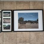 Schilderijen met foto's, Ophalen, Gebruikt, 50 tot 75 cm, Foto of Poster