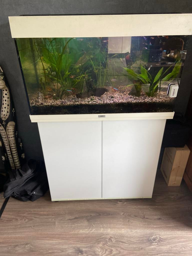 Jewel  aquarium op kast compleet, Ophalen, Gevuld zoetwateraquarium