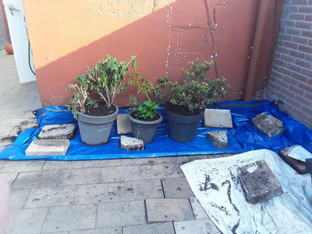 Gratis zwart tuinzand gebruikt, Tuin en Terras, Zand, Ophalen, Gebruikt, Overige typen