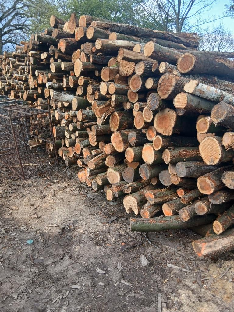 Stamhout, 6 m³ of meer, Ophalen of Verzenden