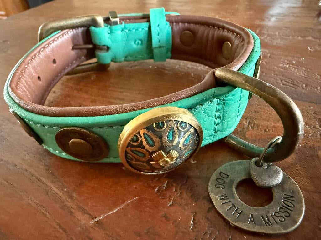 Nieuwe Dog with a mission DWAM halsband Rebel S2,5, Ophalen of Verzenden, Nieuw