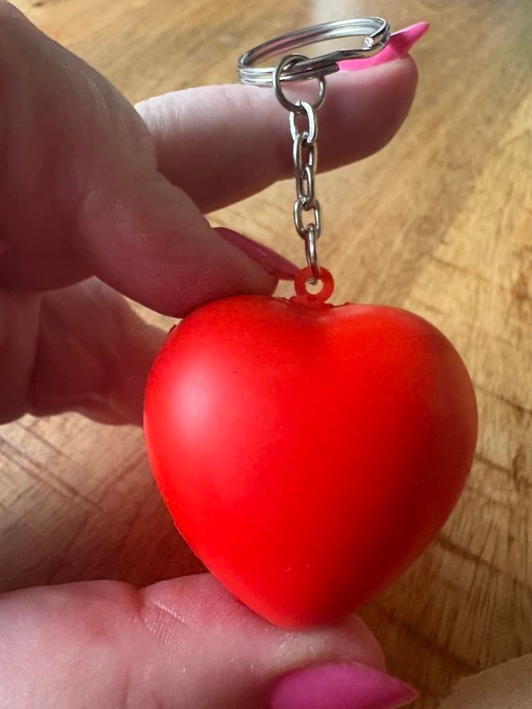 Partij sleutelhangers, Ophalen of Verzenden, Nieuw